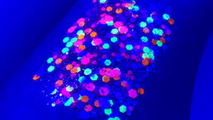 Neon Dream UV #016U Chunky Glitter Gel All Festivals Elektra Cosmetics