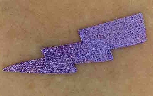 Passion Flower Power Pigments Elektra Cosmetics
