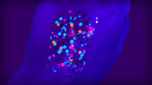 Tropical Treat #029U Chunky Glitter Gel Blacklight Reactive Elektra Cosmetics